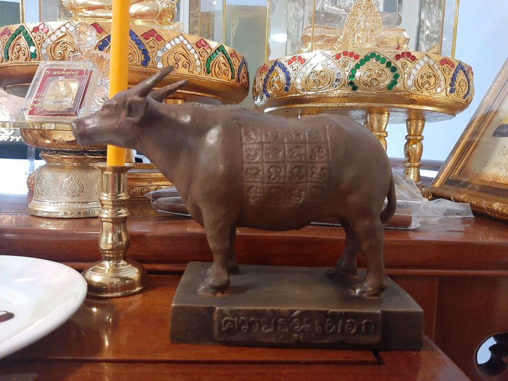 ควายธนูเผือก