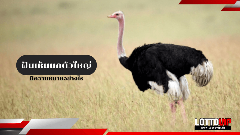 ฝันเห็นนกตัวใหญ่