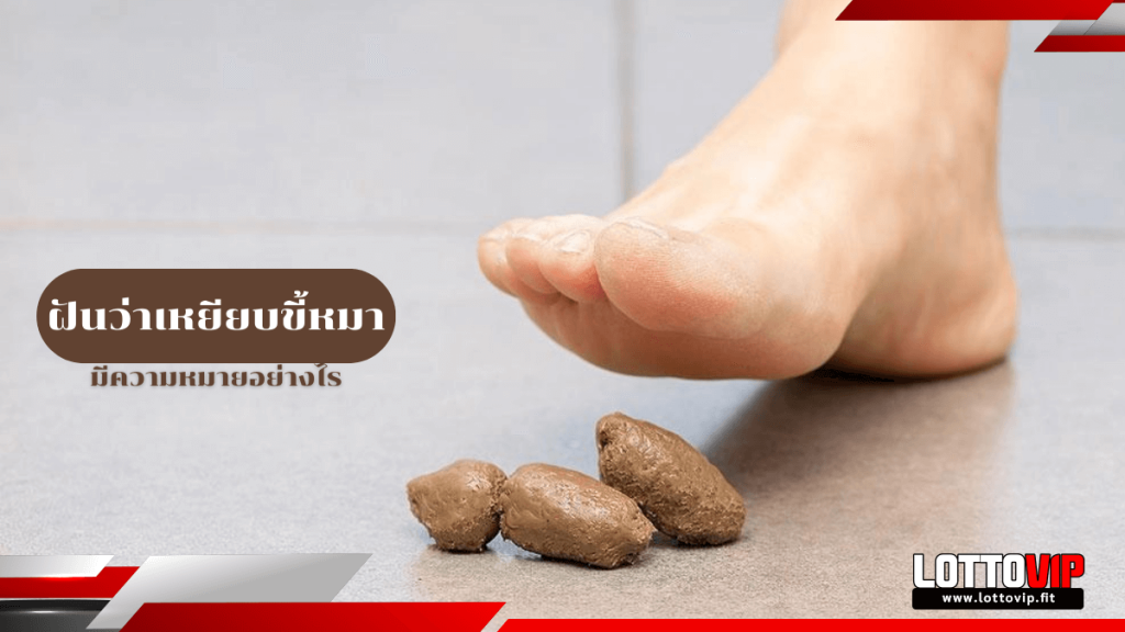 ฝันว่าเหยียบขี้หมา
