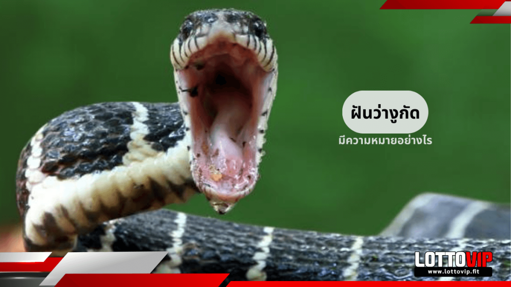 ฝันว่างูกัด